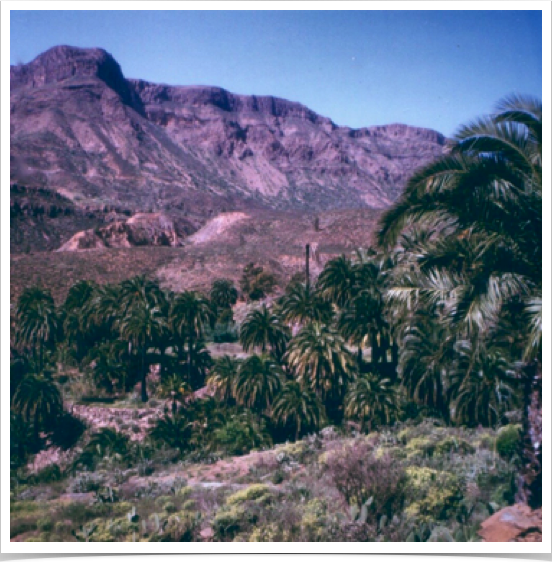 Fataga Valley - San Bartolome de Tirajana.
